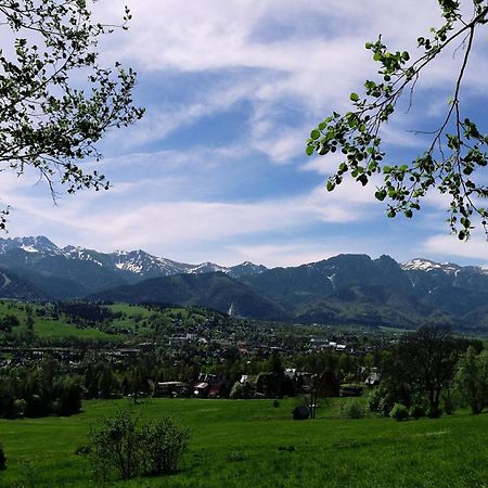 Quality House - Cisza Nad Dolina Villa Zakopane Dış mekan fotoğraf