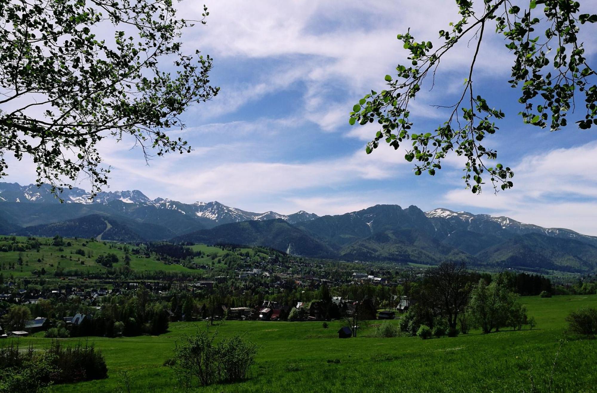 Quality House - Cisza Nad Dolina Villa Zakopane Dış mekan fotoğraf